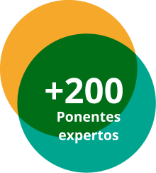expertos