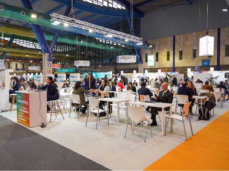 Networking en Transfiere 2025.